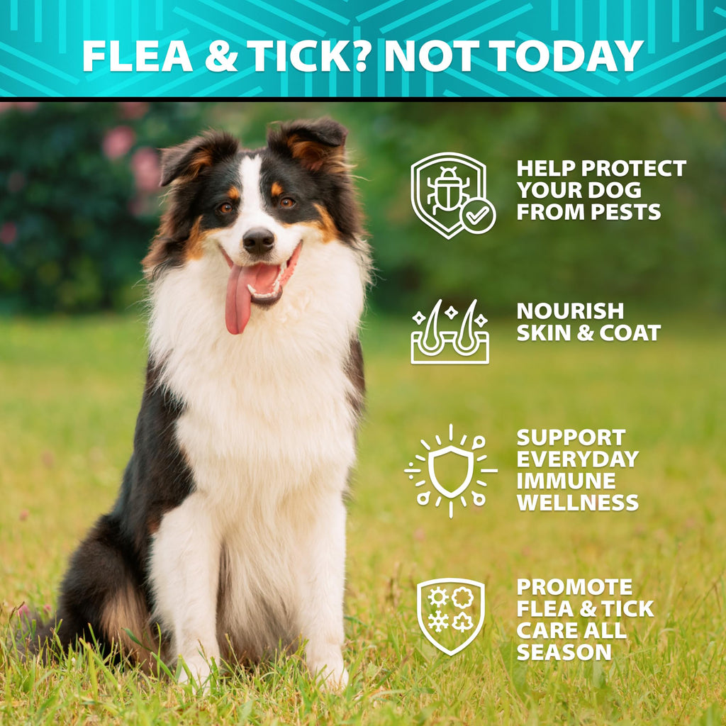 Natural Flea & Tick Chews for Dogs U760211