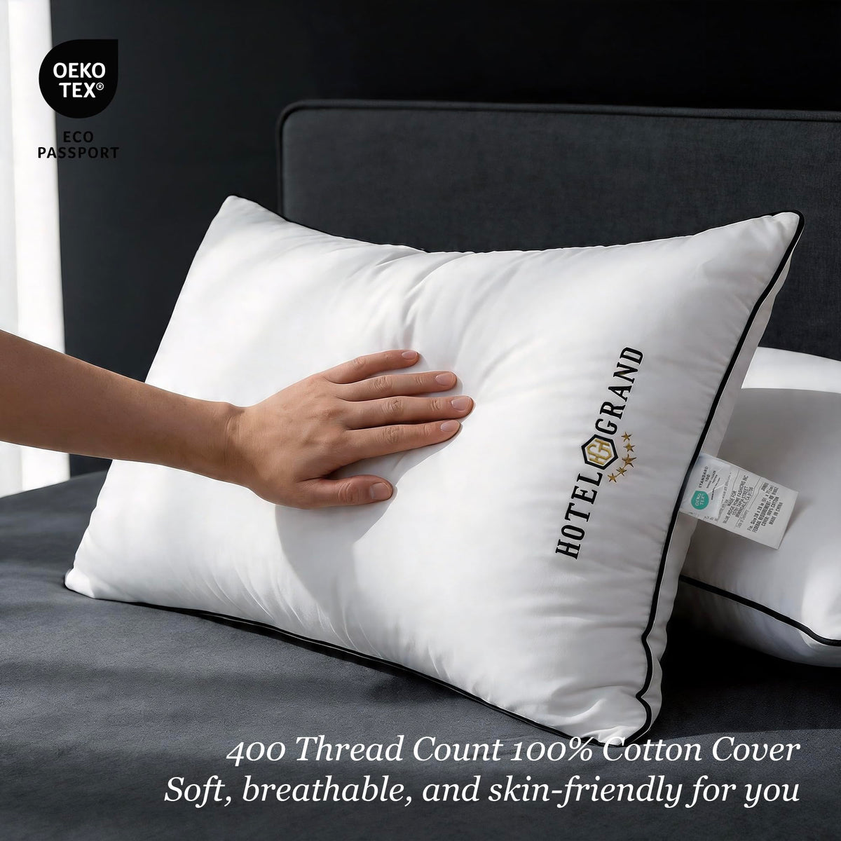 Queen Size Down Alternative Pillows Set of 2 V53624