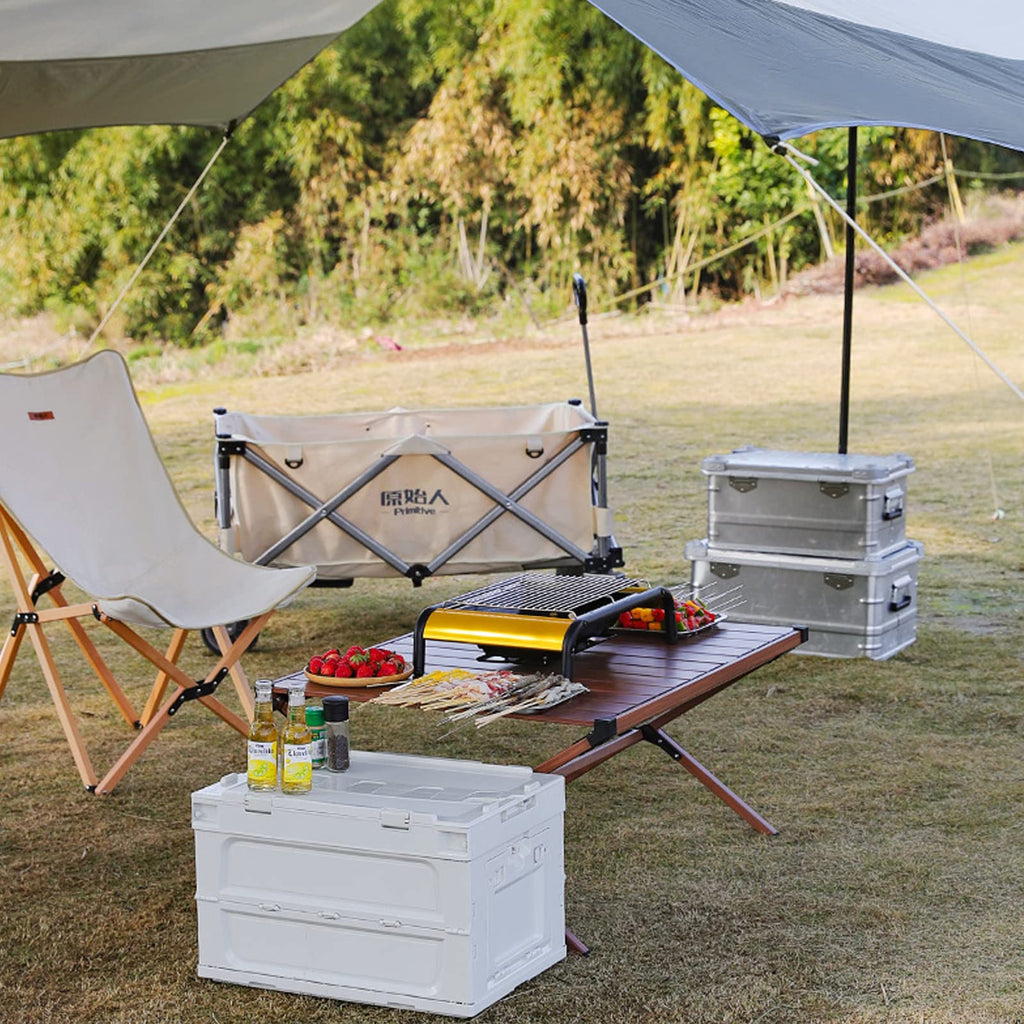 Charcoal BBQ Grill Z26397