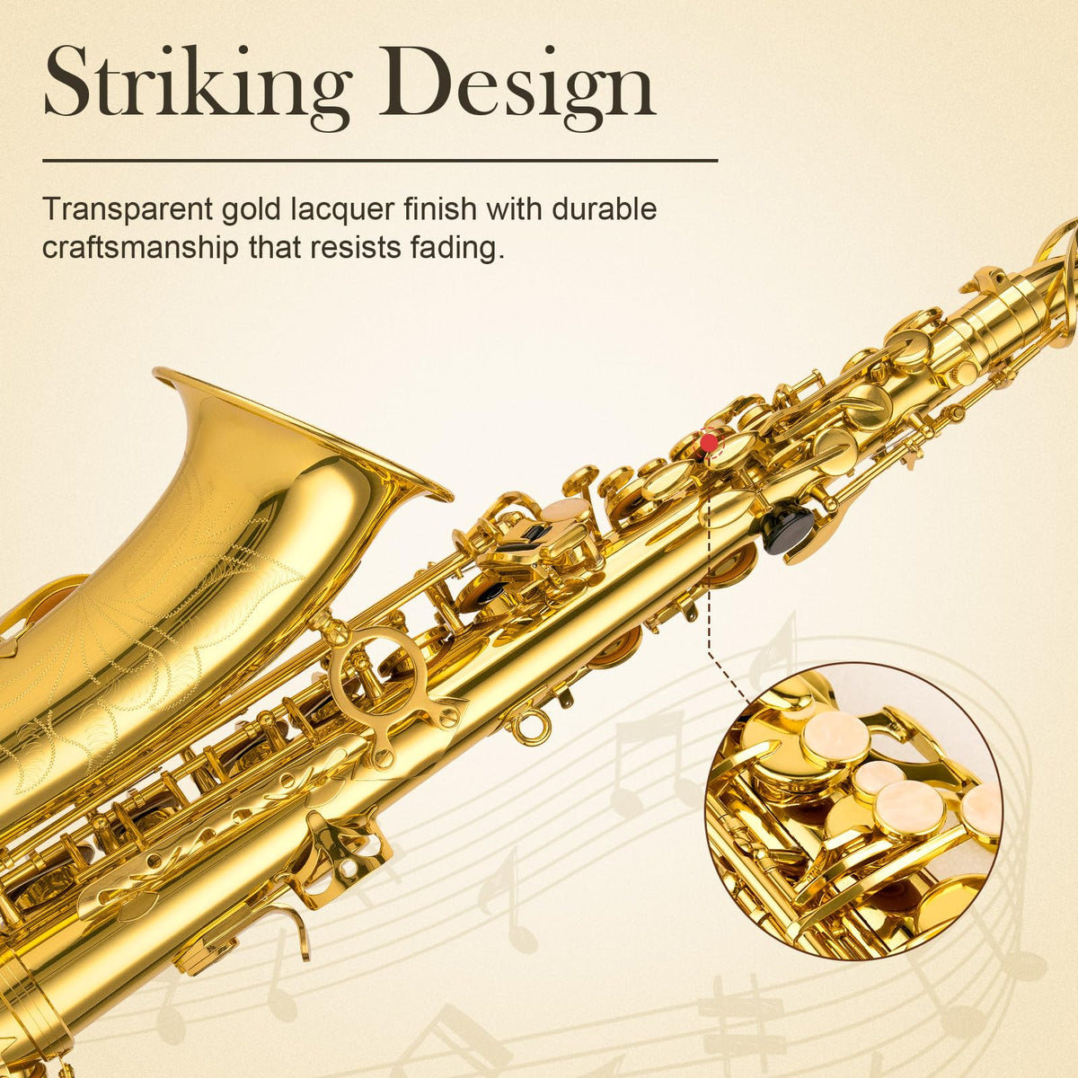 E Flat Alto Saxophone Full Kit M66165