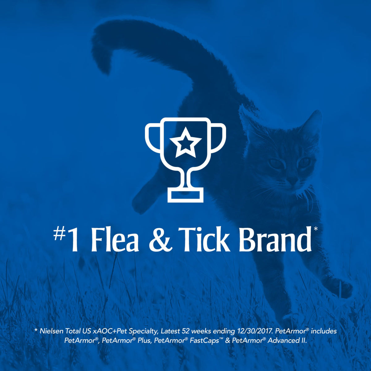 Flea & Tick Treatment for Cats G175