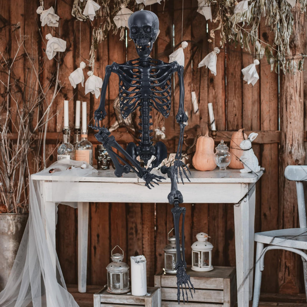 Life Size Posable Plastic Skeleton V2386