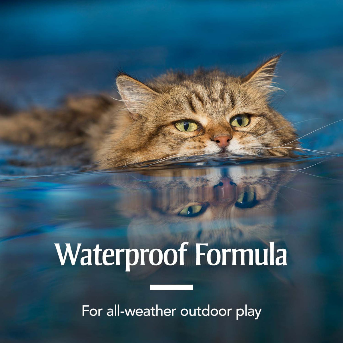 Flea & Tick Treatment for Cats G175