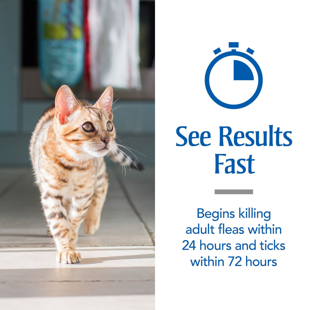 Flea & Tick Treatment for Cats G175