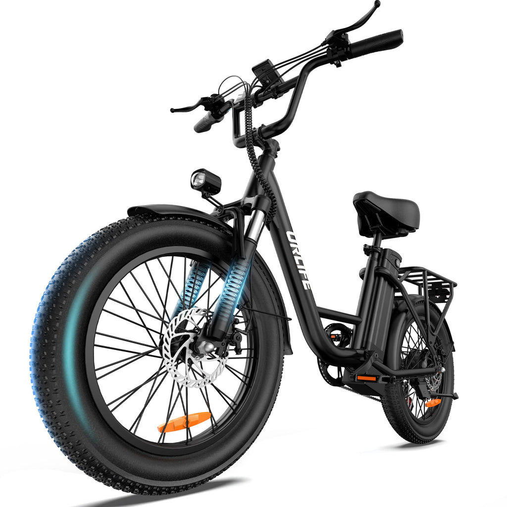 20" Fat Tire Electric Bike with 1000W Motor R450