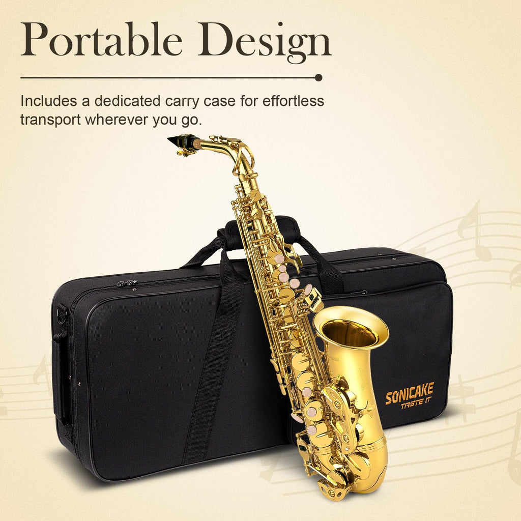 E Flat Alto Saxophone Full Kit M66165