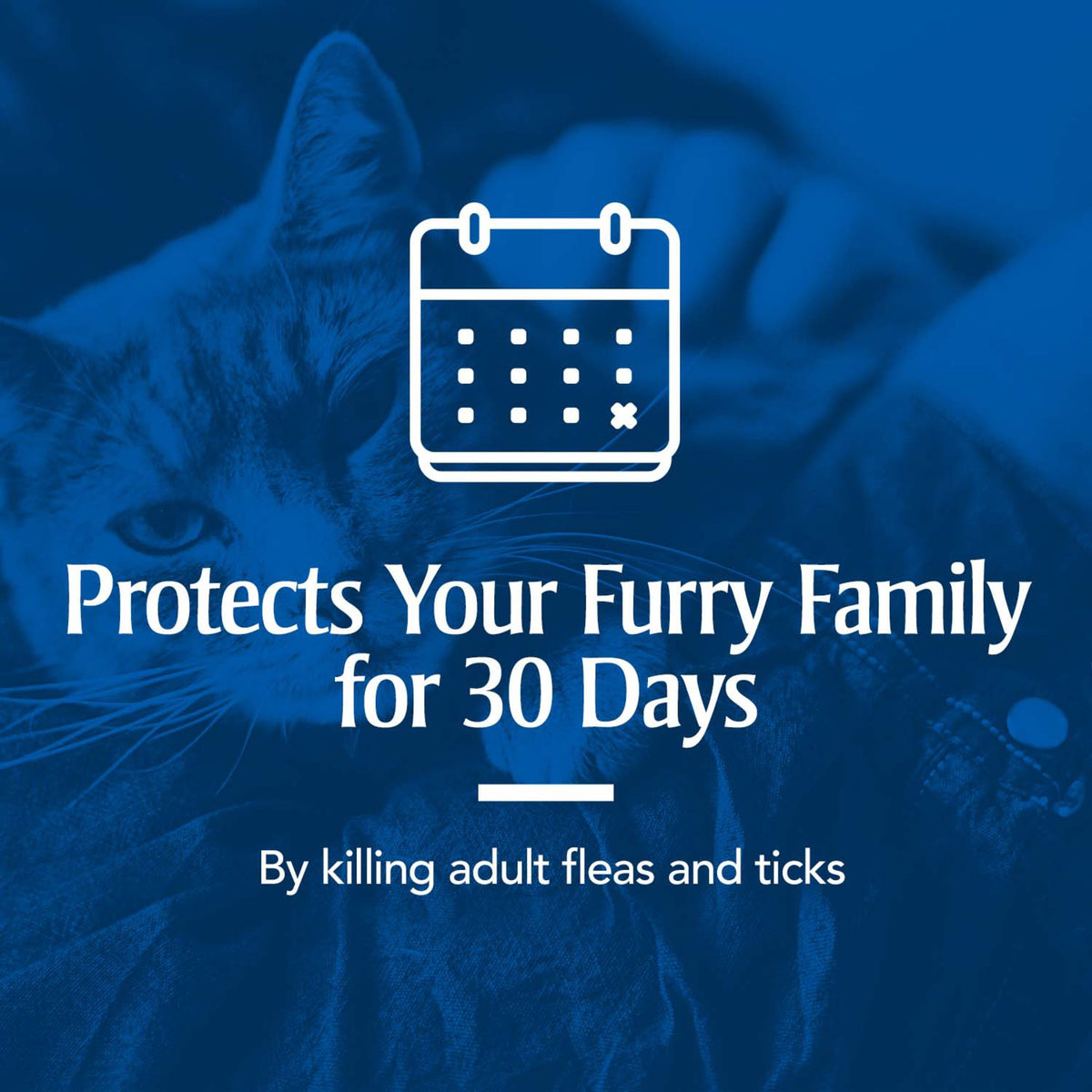 Flea & Tick Treatment for Cats G175