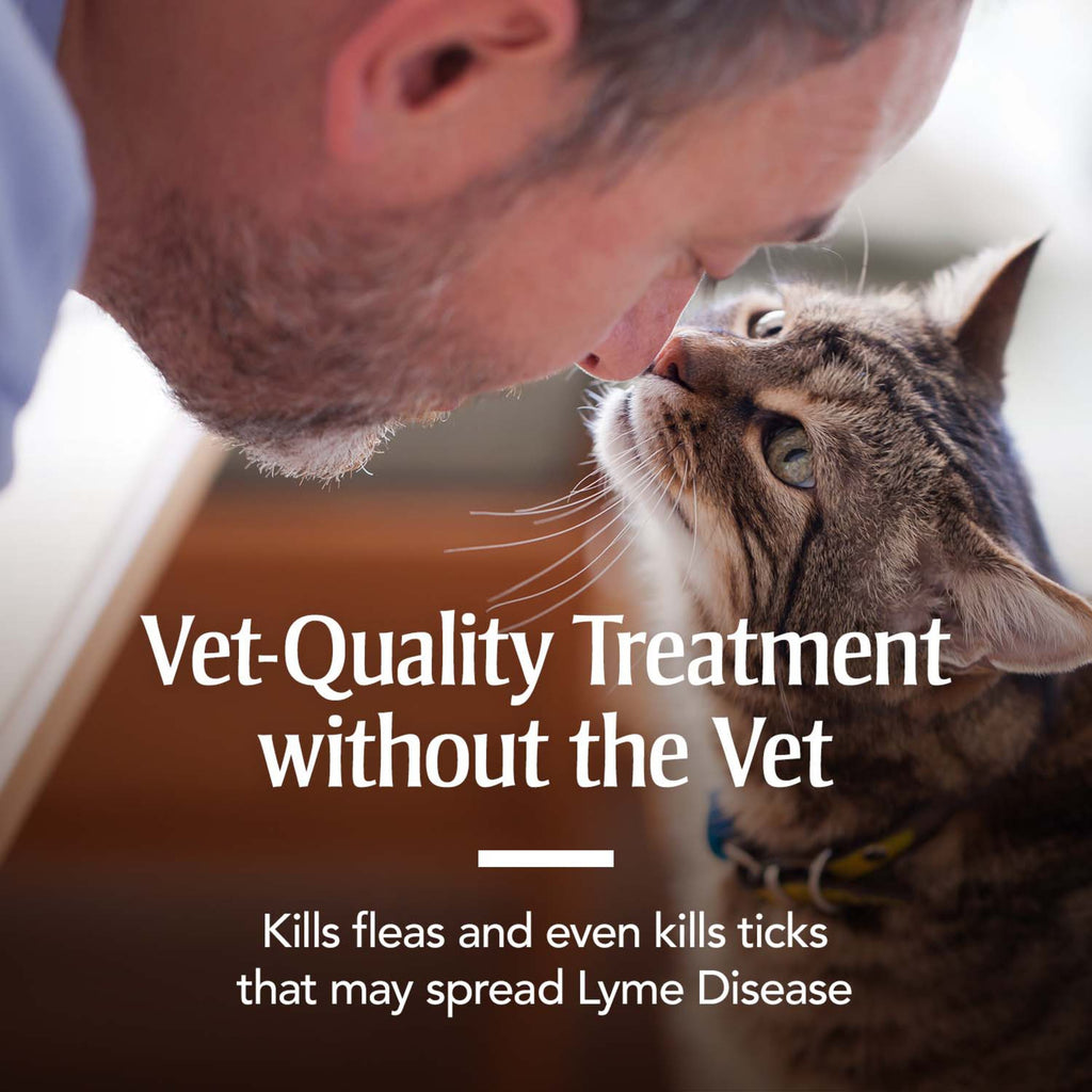 Flea & Tick Treatment for Cats G175