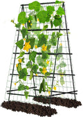 A-Frame Garden Trellis with Plant Support Clips Z653391