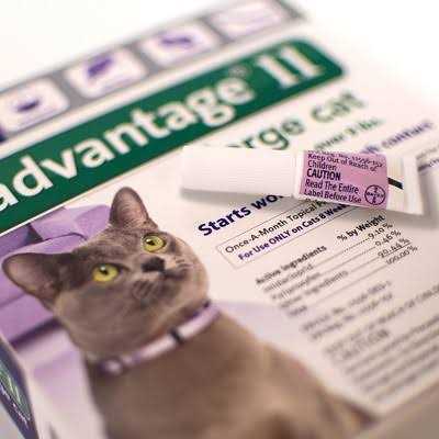 Advantage II Flea Treatment Cats G413