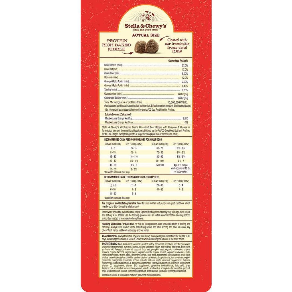Raw Coated Kibble with Wholesome Grains Dog Y991