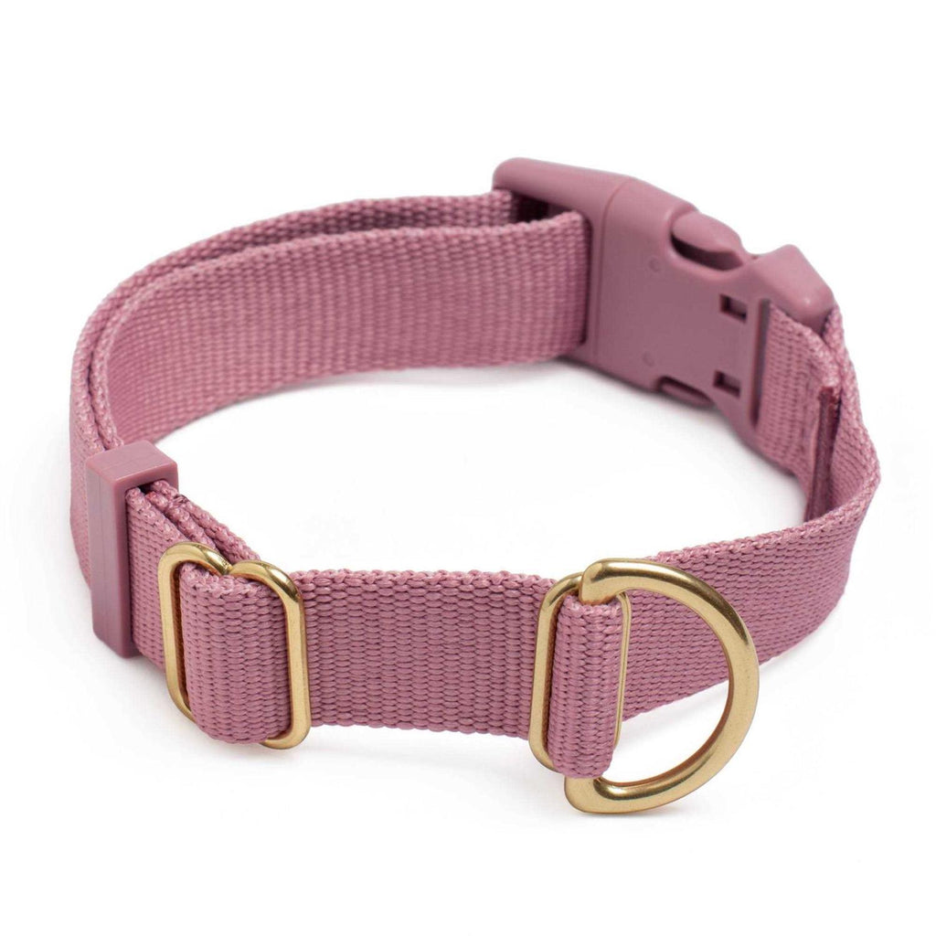 Standard Dog Collar R2379