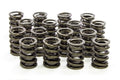 Valve Spring E8932