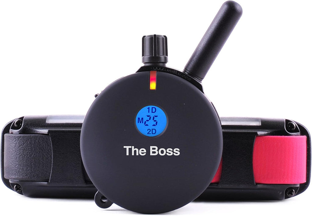 Rechargeable Remote Waterproof Trainer for Two Dogs with Dog Training Clicker A854